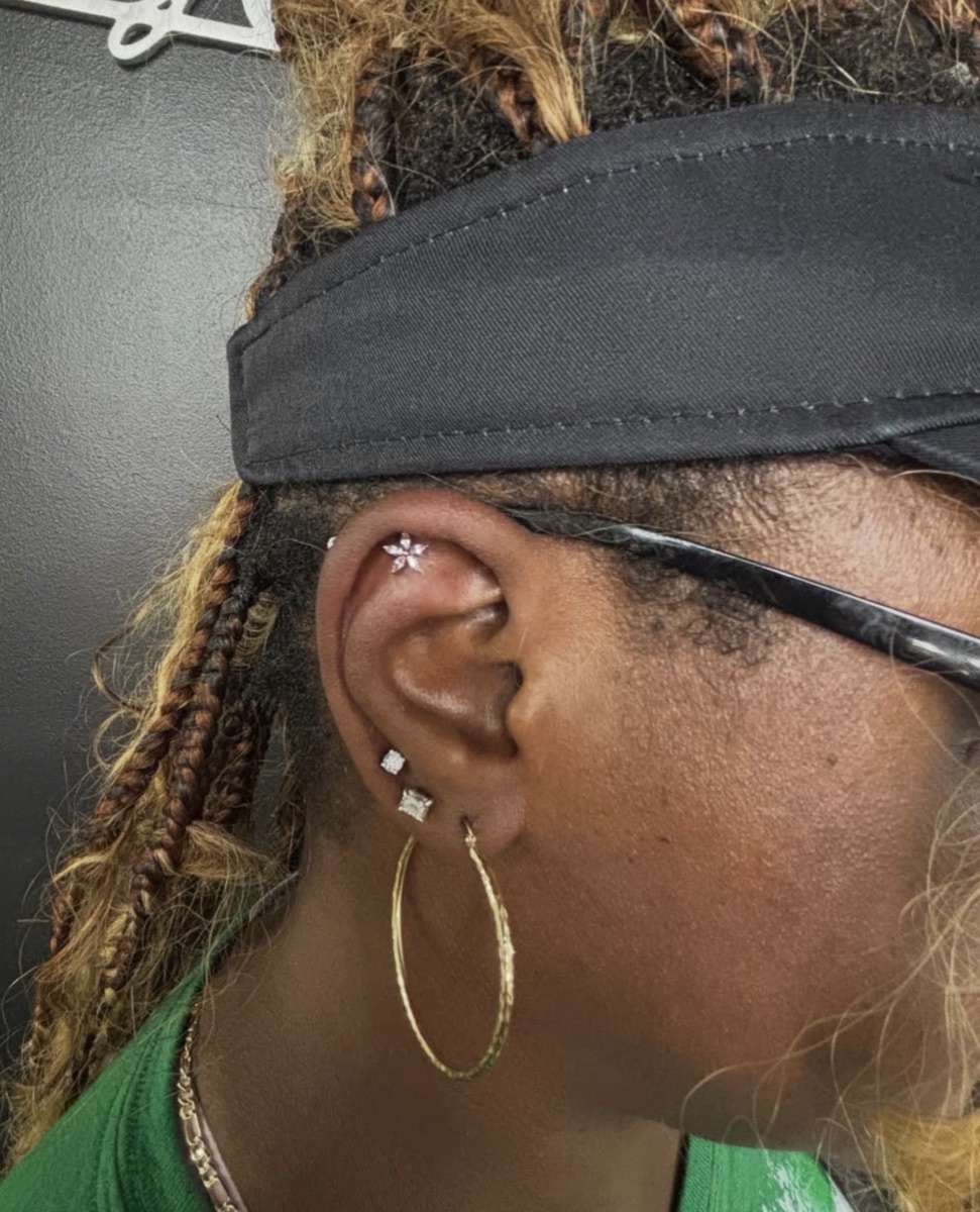 Piercing by Alicia, portfolio image 19