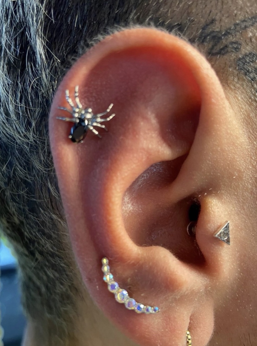 Piercing by Alicia, portfolio image 30
