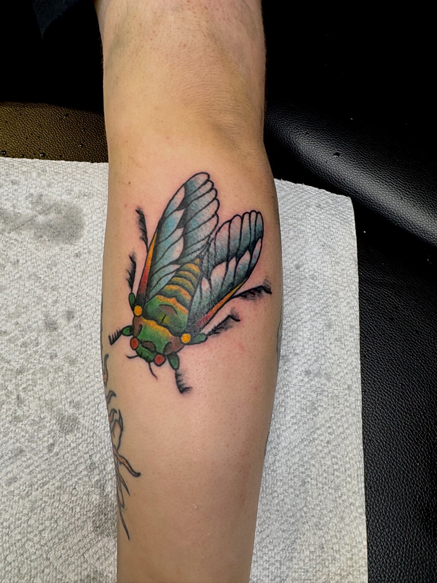 Tattoo by Desmond Diamond, portfolio image 31